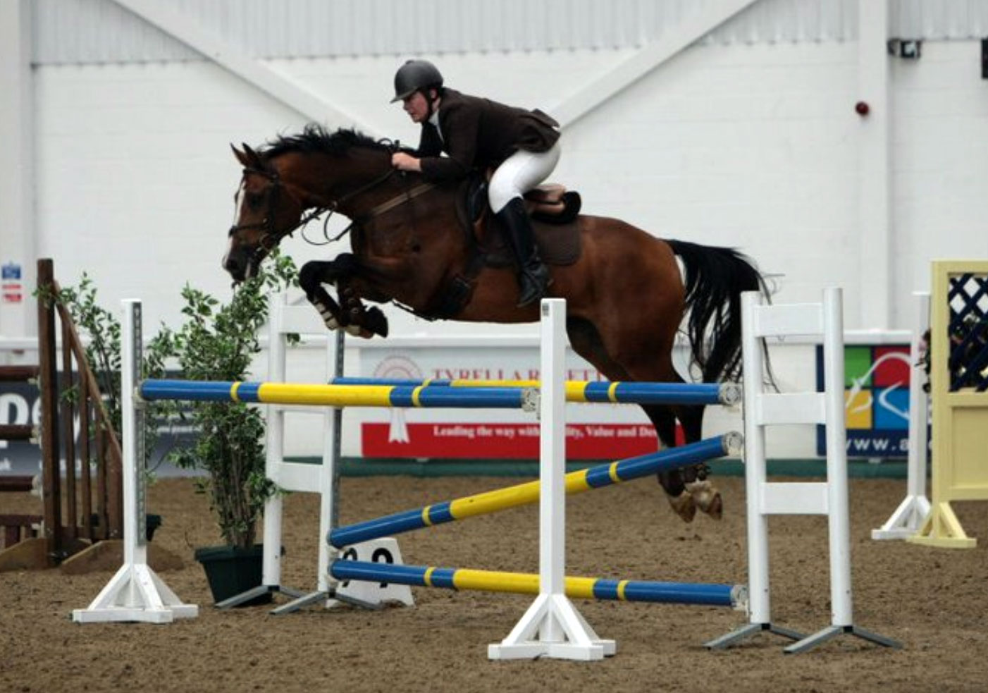 Showjumping