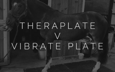 So you’re thinking about getting a TheraPlate?